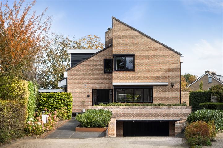 Boterbloem 3 in Dalfsen foto