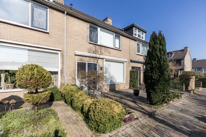 Boterbloem 4 in Barendrecht foto