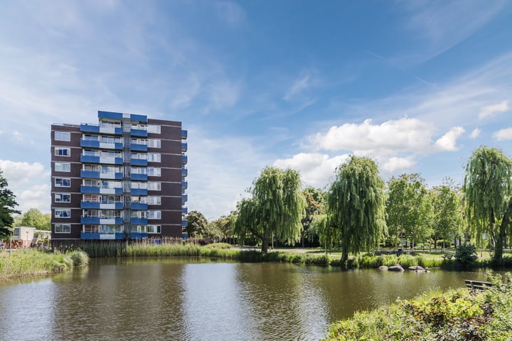 Boterbloem 43 in Uithoorn
