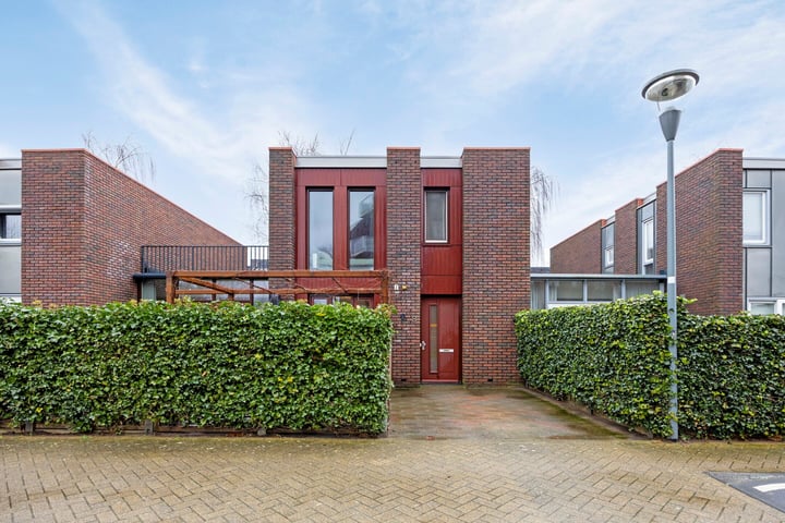 Boterbloem 8 in Lent foto