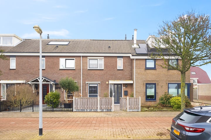 Boterzwin 4220 in Julianadorp foto