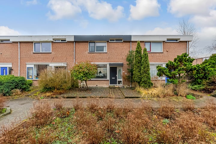 Botter 19 6 in Lelystad foto