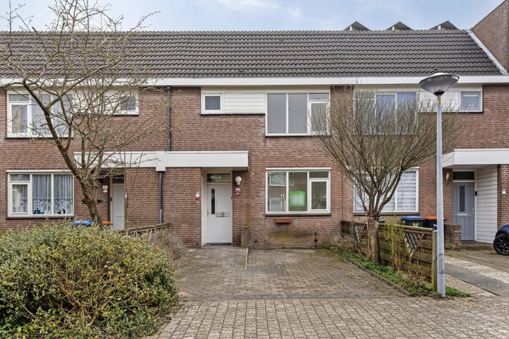 Botter 36 39 in Lelystad foto