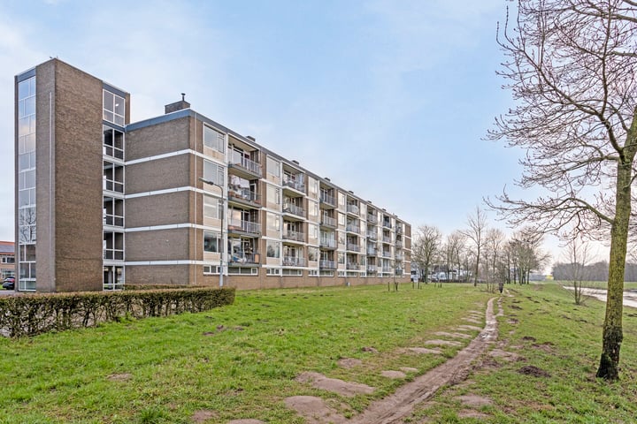 Bowierstraat 27 in 's-Hertogenbosch foto