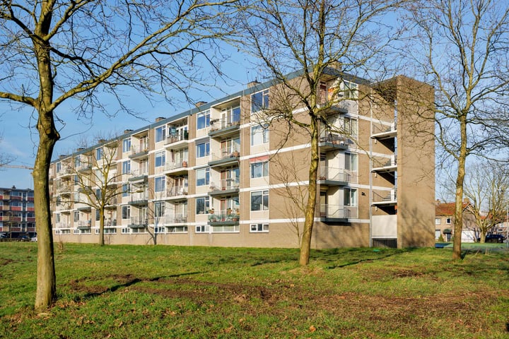 Bowierstraat 39 in 's-Hertogenbosch foto