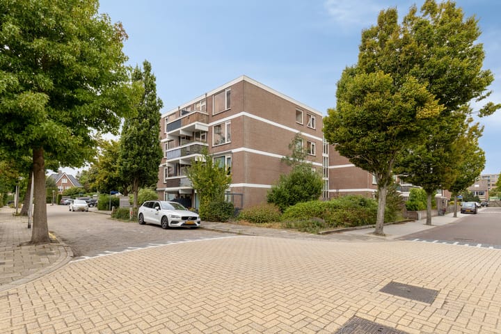Braambos 15 in Noordwijkerhout foto