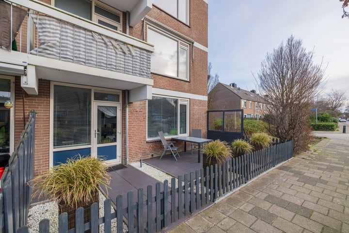 Braambos 9 in Noordwijkerhout foto