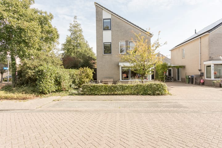 Braamspinner 62 in Meppel foto