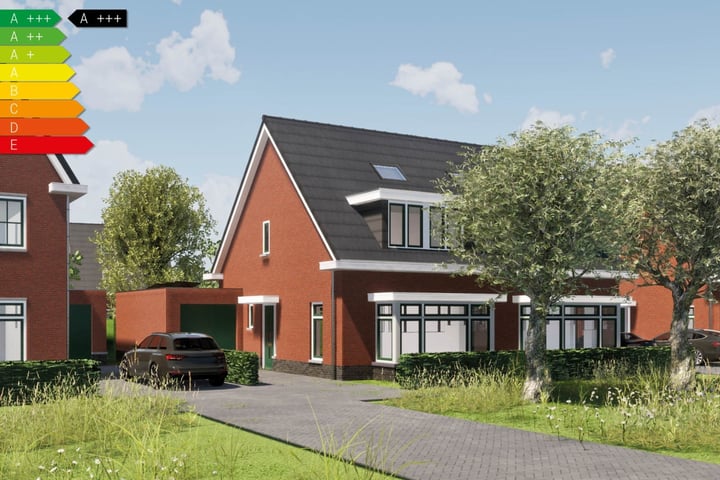 Brabander 3 in Chaam foto