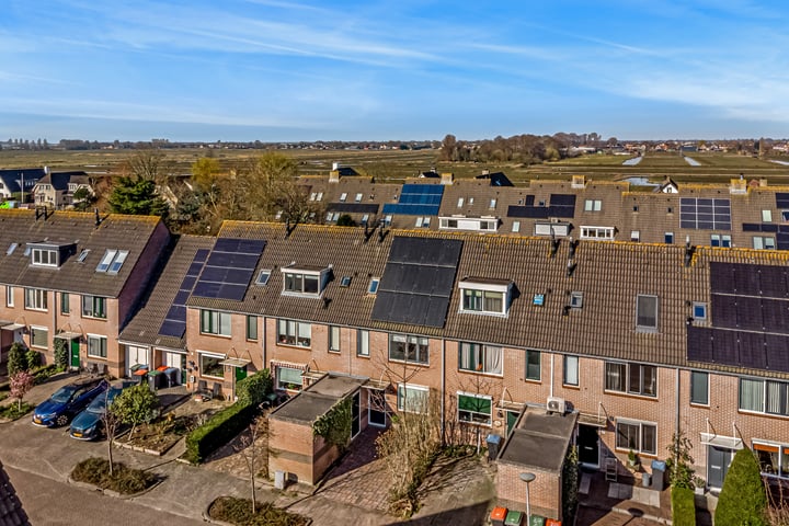 Brandgans 31 in Uithoorn foto