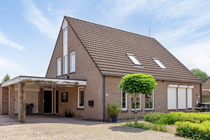Brandgans 44 in Emmen foto