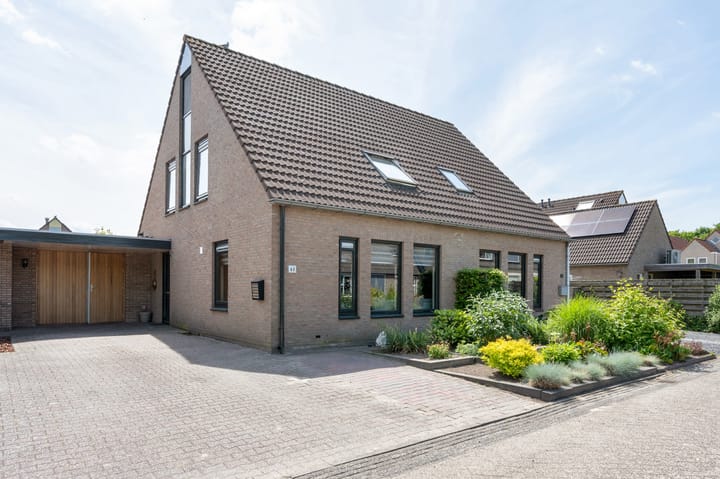 Brandgans 48 in Emmen foto
