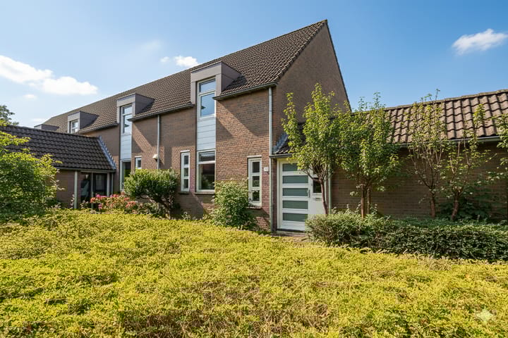 Brandnetel 73 in Zwaag foto