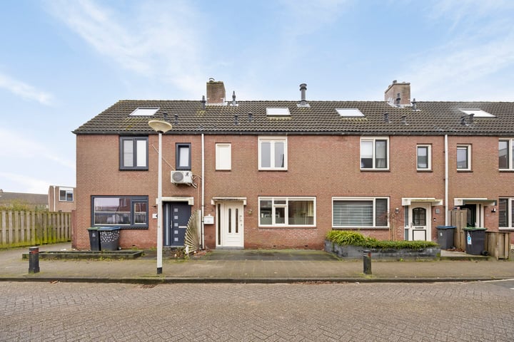 Brasem 8 in Hellevoetsluis foto
