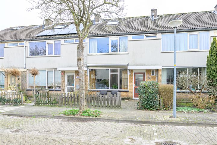 Bregwaard 100 in Alkmaar foto
