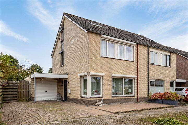 Brem 1 in Coevorden foto