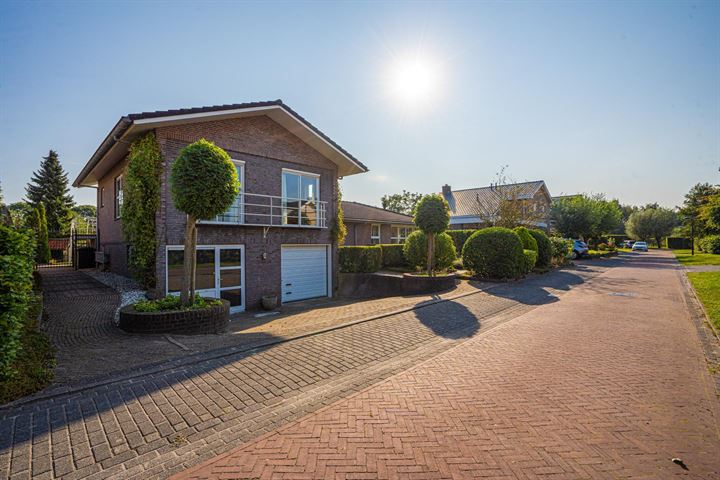 Broekfinne 55 in De Wilgen foto