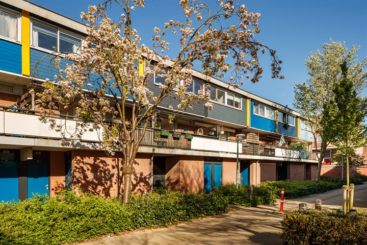 Brugakker 5308 in Zeist foto