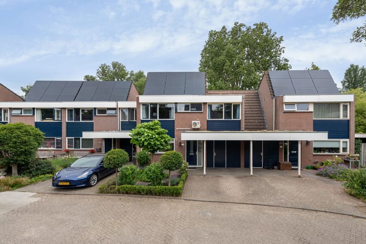 Brugakker 6223 in Zeist