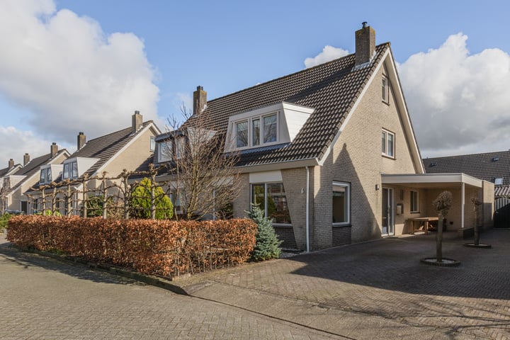 Brughagedis 6 in Heerhugowaard foto
