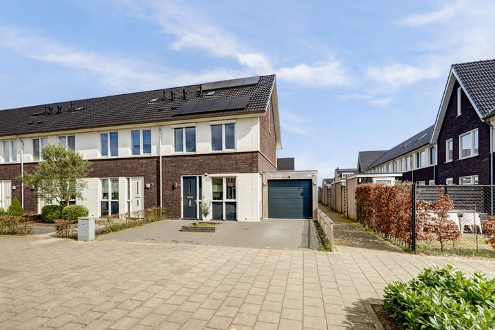 Bruin Dikkopje 29 in Tiel foto
