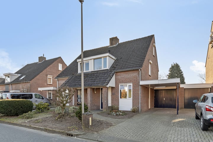 Bruine Akkers 23 in Maarheeze foto