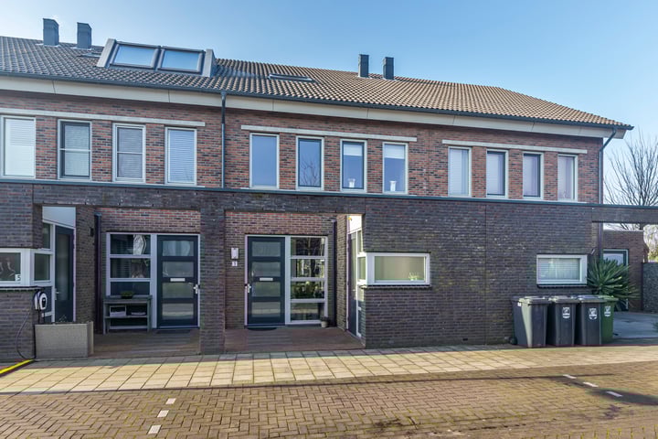 Bruinvis 3 in Naaldwijk foto