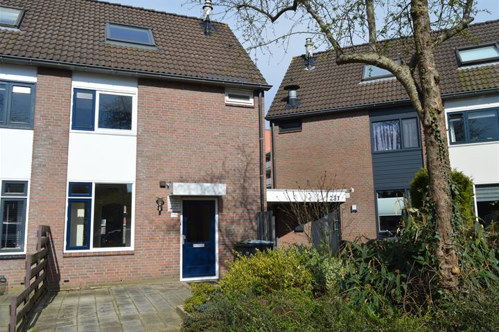 Bruntingerbrink 229 in Emmen foto