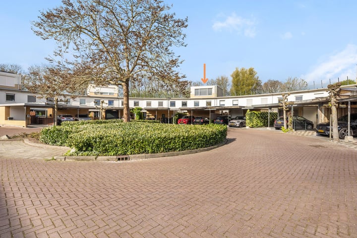 Buitenrust 16 in Dordrecht