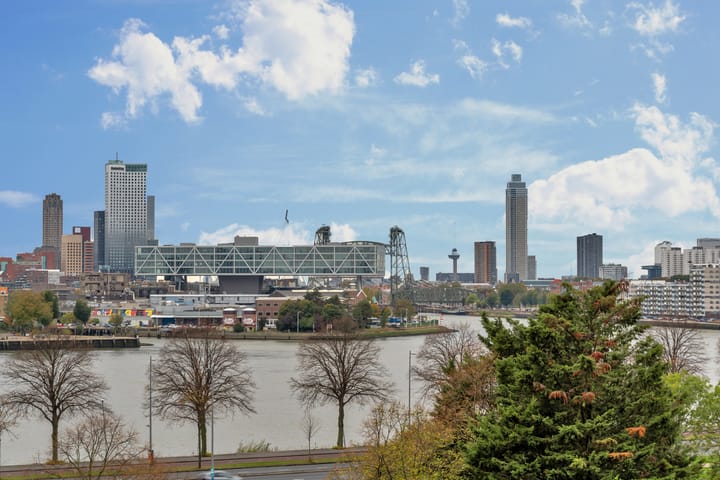 Buizenwerf 173 in Rotterdam