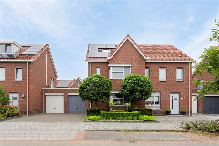 Buizerd 102 in Veldhoven foto