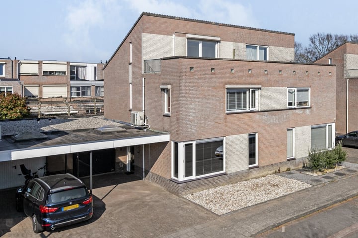 Buizerd 122 in Veldhoven foto