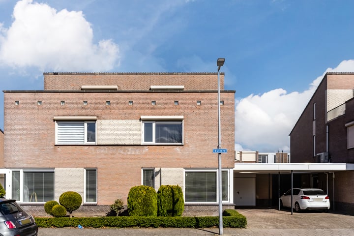 Buizerd 124 in Veldhoven foto