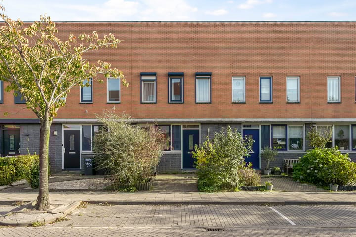 Buizerd 22 in Bergen op Zoom