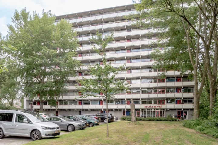 Buizerd 74 in Heerenveen