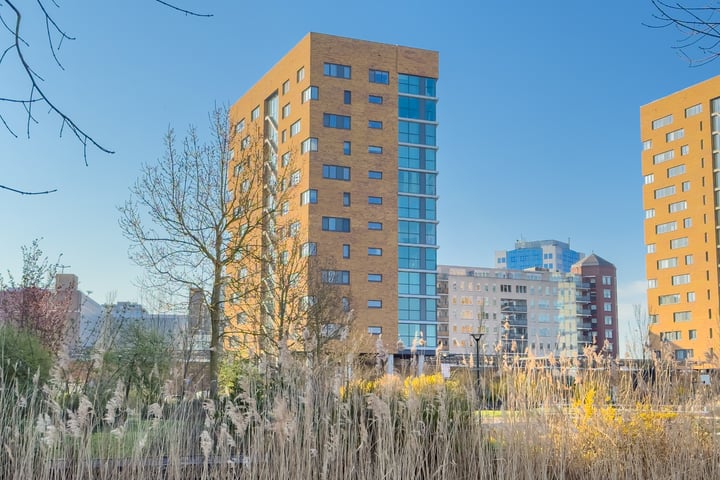Foto van woning Buizerdhof 125, Capelle aan den IJssel