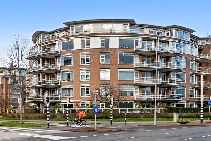 Buizerdlaan 263 in Leidschendam foto