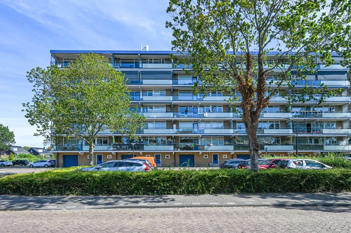 Buizerdstraat 144 in Maassluis foto
