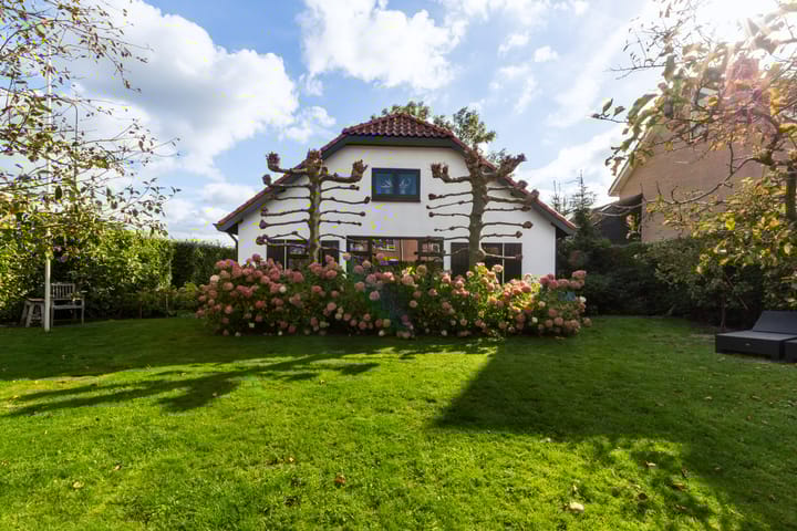 Buntwal 1 in Nijkerkerveen foto