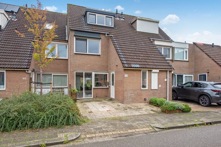 Bunuelstrook 75 in Zoetermeer foto