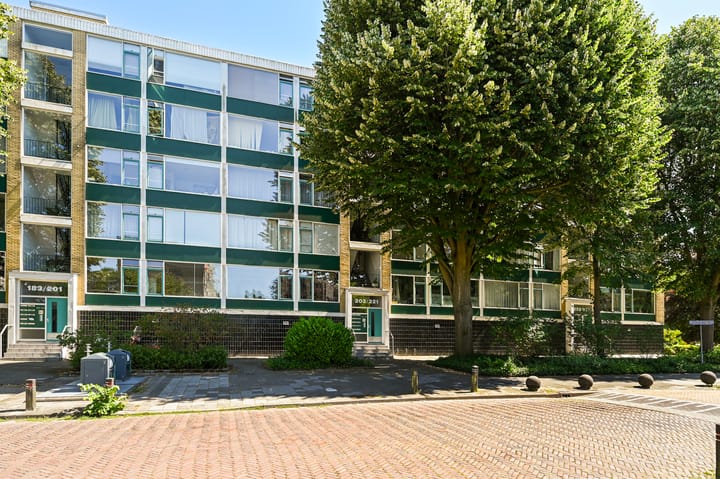 Burgemeester Keijzerlaan 219 in Leidschendam
