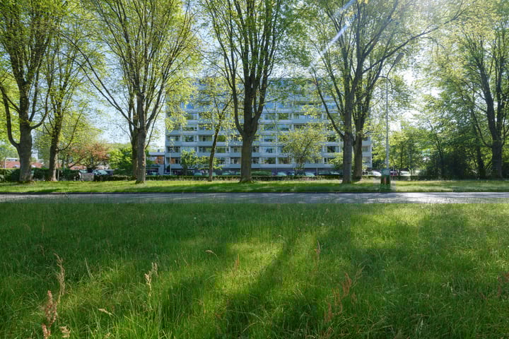 Foto van woning Burgemeester Wuiteweg 249, Drachten