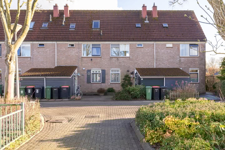 Buttervin 69 in Andijk foto