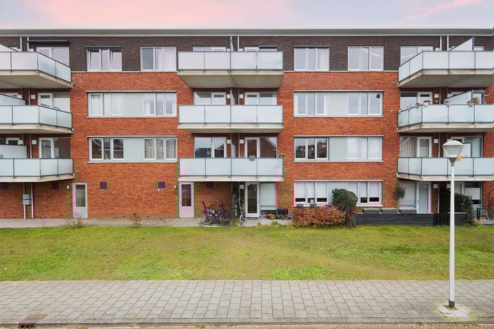 Buxushaag 74 in Voorhout foto