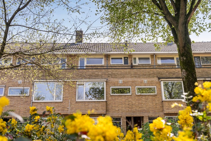 Foto van woning Buys Ballotsingel 29B, Schiedam