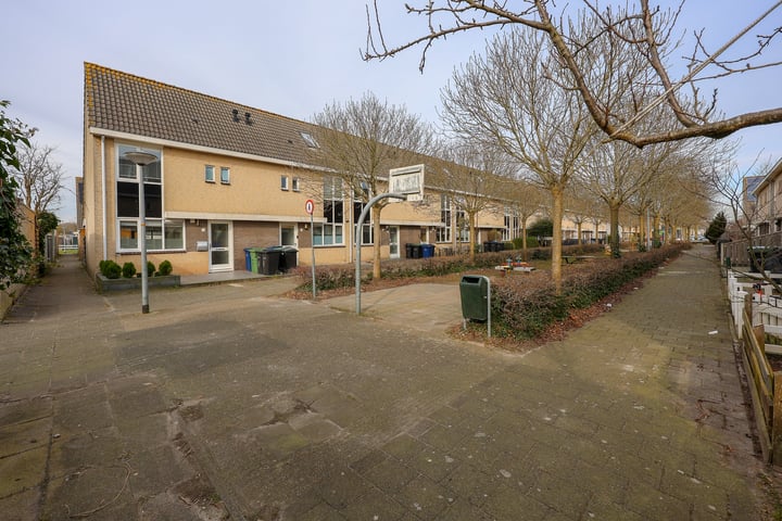 Buziaupad 1 in Almere foto