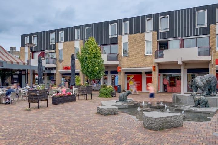 Foto van woning Callunaplein 100, Dieren