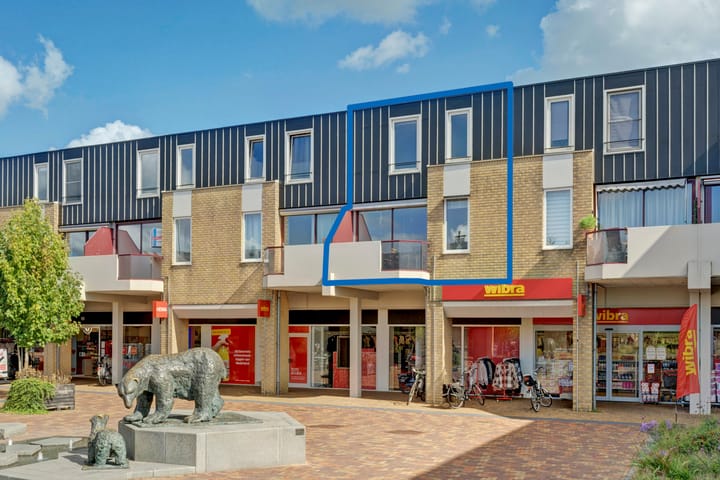 Callunaplein 96 in Dieren foto