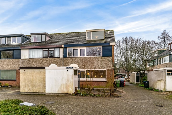 Cameliadal 1 in Leiden foto