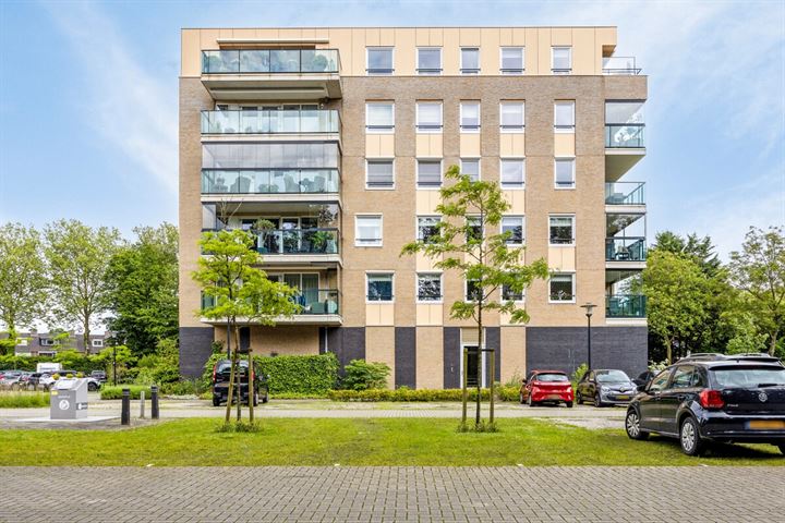 Campanula 3-87 in Dordrecht foto